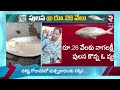 pulasa fish record rate in yanam యానంలో రికార్డ్ ధర పలికిన పులస చేప pulasa fish price rtv