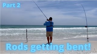 April Surf Fishing for pompano on the Panhandle. Part 2 Testing The TFO Tactical Surf rods.