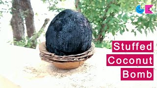 Stuffed Coconut Bomb | GunduBulbu