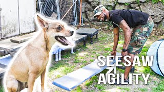 Takeaways from Sandy's Seesaw Agility Exercise | Argos Clips