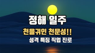 정해일주에 태어난 사람 특징 성격 직업