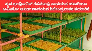 ಹೊಸ ತಾಂತ್ರಿಕತೆ ಮೆರೆದ ಮಾಂತ್ರಿಕ ರೖತ! Innovative methods in agri