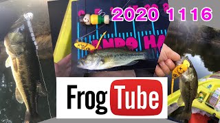 FROG TOP TV 2020 1116