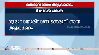 ഗുരുവായൂരിൽ തെരുവ് നായ ആക്രമണം; ആറ് പേർക്ക് പരിക്ക് |Stray dog attack |Guruvayur