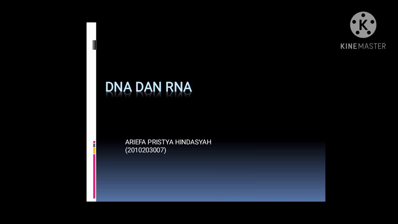 MATERI DNA DAN RNA - YouTube