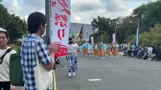 2023.10.15 第19回泉州YOSAKOIゑえじゃないか祭り　海への道会場①