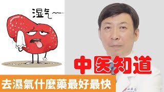 去濕氣什麼藥最好最快【保健養生】生生不息