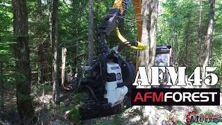 AFM 45 harvester on a Hyundai 145 excavator abatteuse bucheuse excavatrice multifonctionnelle