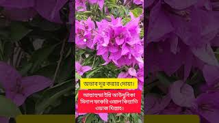 #উদ্ভিদ_ও_অন্যান্য #অভাবদূর #দোয়া #অভাব_দূর_করার_দোয়া #99namesofallahwithbenefits #agriculture #duoa