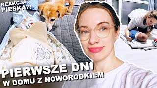 REALISTYCZNY VLOG Z NOWORODKIEM... Pierwsze dni w domu po sanatorium poporodowym w Korei Południowej