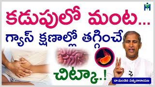 కడుపులో మంట, గ్యాస్ తగ్గాలంటే|how to reduce gas in stomach|Dr Manthena Satyanarayana|Health Mantra|