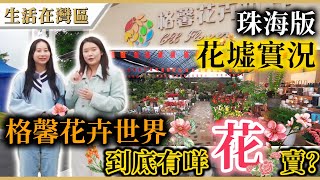 【生活在灣區】珠海版花墟 - 格馨花卉世界，買花賞花好去處，香水檸檬、月桂、蝴蝶蘭、滿天星等盆栽種類繁多，價錢平，買花友必到最大花卉批發市場！