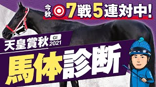 【天皇賞秋 2021】秋競馬で◎7戦5連対と絶好調！GI3連勝へここもズバッと仕留める！某大手牧場の元スタッフが見抜くGIイチオシ馬体！GIフォトパドック【競馬 予想】