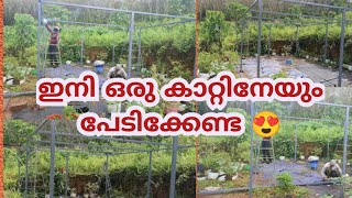 ഇനി പന്തൽ കാറ്റിലും മഴയിലും ഒന്നും സംഭവിക്കില്ല #underthesky #krishi #പച്ചക്കറിപന്തൽ