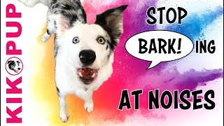 Stop Barking at Noises - Professional Dog Training