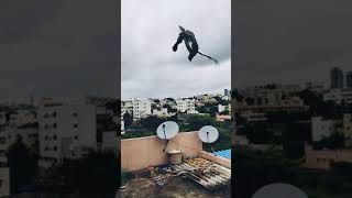 pigeon flip