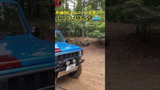 【無人運転】月桂樹とジムニーの日常？#shorts #自動運転 #無人運転 #newjimny #jimny #jb64w