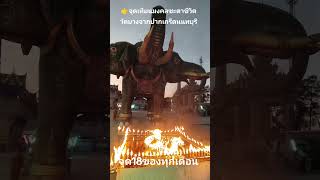 #trending 🔥🔥 #แก้ปีชง#funny #love ท้องช้างวัดบางจาก#like #ช่องklungklune #music  นนทบุรีปลุกเสก#ปากเ