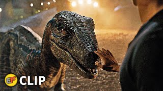 Goodbye to Blue - Ending Scene | Jurassic World Fallen Kingdom (2018) Movie Clip HD 4K