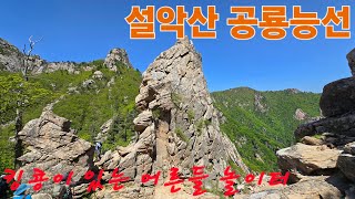 설악산 공룡능선 2024.05.18  - 11시간 21Km