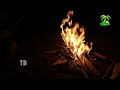 night camping in the forest part ii neelam story 22b @traveliana2.0 bushcraft adventure