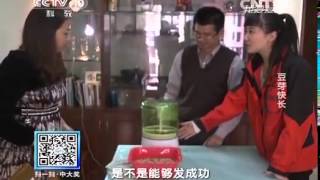 20140403 我爱发明 豆芽快长