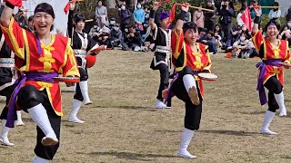 三線の花  古河桃まつり2024.03.24 琉球國祭り太鼓 茨城支部 \u0026駒鼓恋