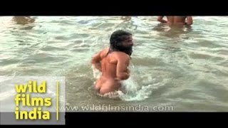 Naga sadhus have a holy bath at Ardh Kumbh Mela