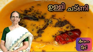 അമ്മയുടെ സ്പെഷ്യൽ ഉള്ളി ചട്ണി | How to make chutney in Malayalam | Nithya Santhosh