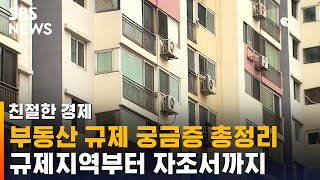 잠실은? 둔주는? 자조서는? 부동산 규제 철회 궁금증 총정리 / SBS / 친절한경제