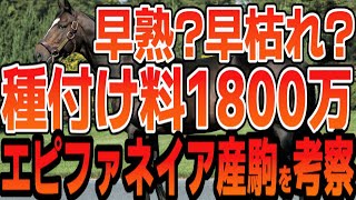 種牡馬・エピファネイアは早熟、早枯れで1800万円の価値がない！？…という説を考察してみる動画【競馬ゆっくり】【ゆっくり解説】【競馬事件簿】【私の競馬論】