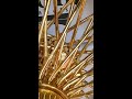 all gold dayton wire wheels 13x7 14x17 20x9