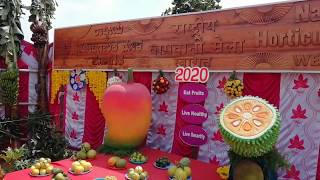 IIHR Horticulture Fair 2020  | ರಾಷ್ಟ್ರೀಯ ತೋಟಗಾರಿಕೆ ಮೇಳ – 2020 - Part 1