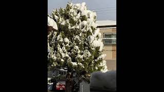 JAPAN SNOWING ||YOKKAICHI|| MIE||MARGIE TV