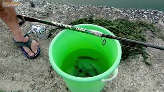 00579. ΨΆΡΕΜΑ ΣΤΗ ΛΊΜΝΗ ΒΌΛΒΗ / FISHING IN LAKE VOLVI