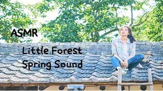 SUB) B4 black 영화 리틀 포레스트 사계절테마 Little Forest ASMR / 봄밤 시골집 지붕 위에서 듣는 자연 소리 / ASMR, Spring in Korea