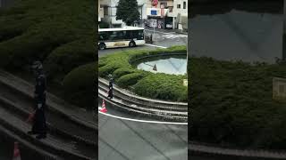 【貴重】玉突きでバスが追い出される河辺駅の光景！