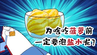 【小魔】为啥吃菠萝前，一定要泡盐水呢？#shorts