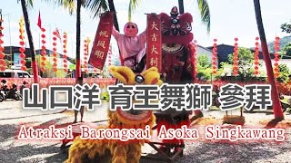 110》春節特輯：山口洋石角觀音堂 育王舞獅 參拜『Atraksi Barongsai Tim Asoka Kota Singkawang』