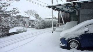 ２０１０年１２月３１日の雪景色