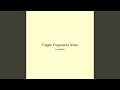 Fragile Fragments Silver