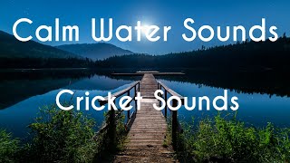 Night Ambient Sounds, Soft Crickets, & Calm Water Sounds- Relaxation, Sleep, and Meditation Sounds
