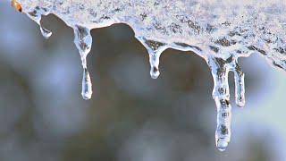 Ask Andrew: How unusually warm has January of 2023 been so far?