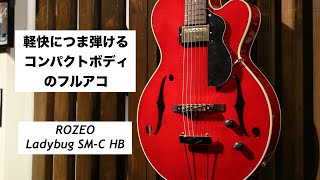 コンパクトボディのフルアコ ROZEO Ladybug SM-C HB