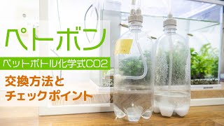 格安CO2添加！ペットボトル化学式CO2の交換手順＆チェックポイント #アクアリウム #水草水槽 【ビバアクア】