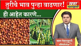 Tur Market : तुर बाजार भाव पुन्हा वाढणार ? Tur bhav 2025 | महाराष्ट्र तूर भाव | Tur Bhav | #turbhav