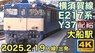 【4K】E217系 Y-37編成 配給 大船駅 入線と出発 (EF64 1030けん引) 2025.2.19