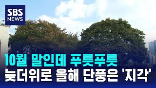 10월 말인데 푸릇푸릇…늦더위로 올해 단풍은 '지각' / SBS