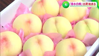 「上品な甘さ・とろけるような柔らかさ」\