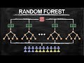 Random Forest for Beginners | Machine Learning in Plain English